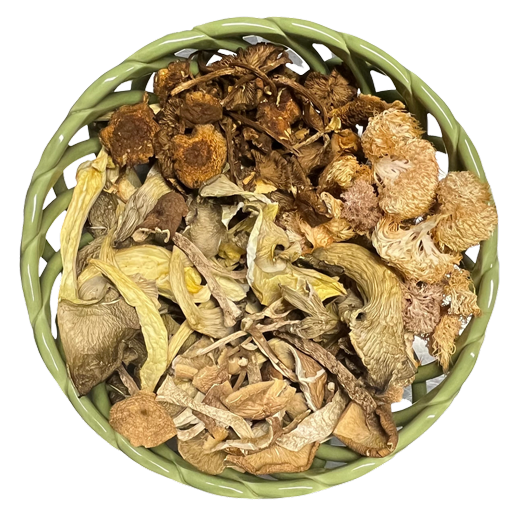 قارچ های خشک