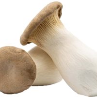 قارچ شاه صدف یا ارینجی