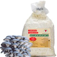 بذر یا اسپان قارچ صدفی آبی