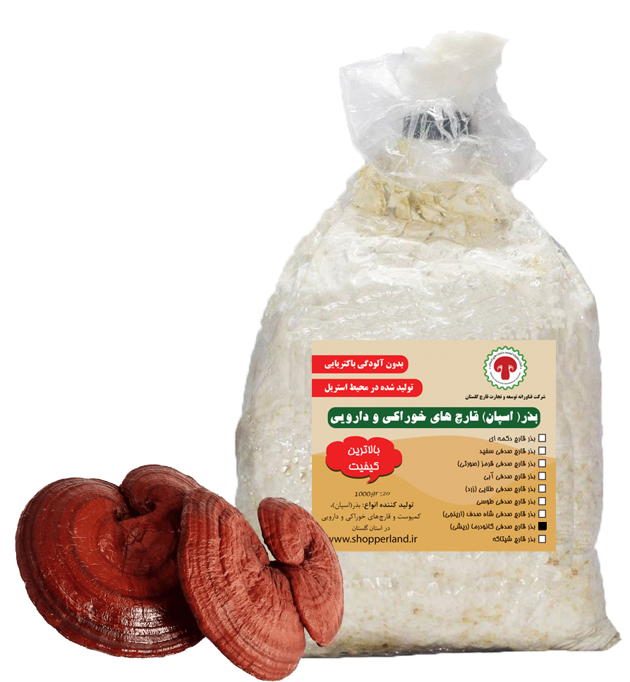 بذر یا اسپان قارچ گانودرما یا قارچ ریشی