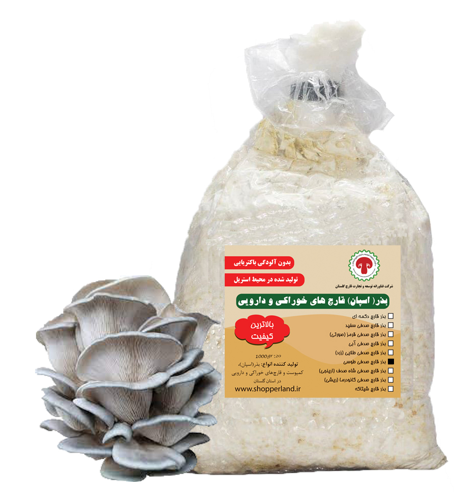 بذر یا اسپان قارچ صدفی طوسی