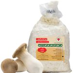 بذر یا اسپان قارچ شاه صدف (ارینجی)